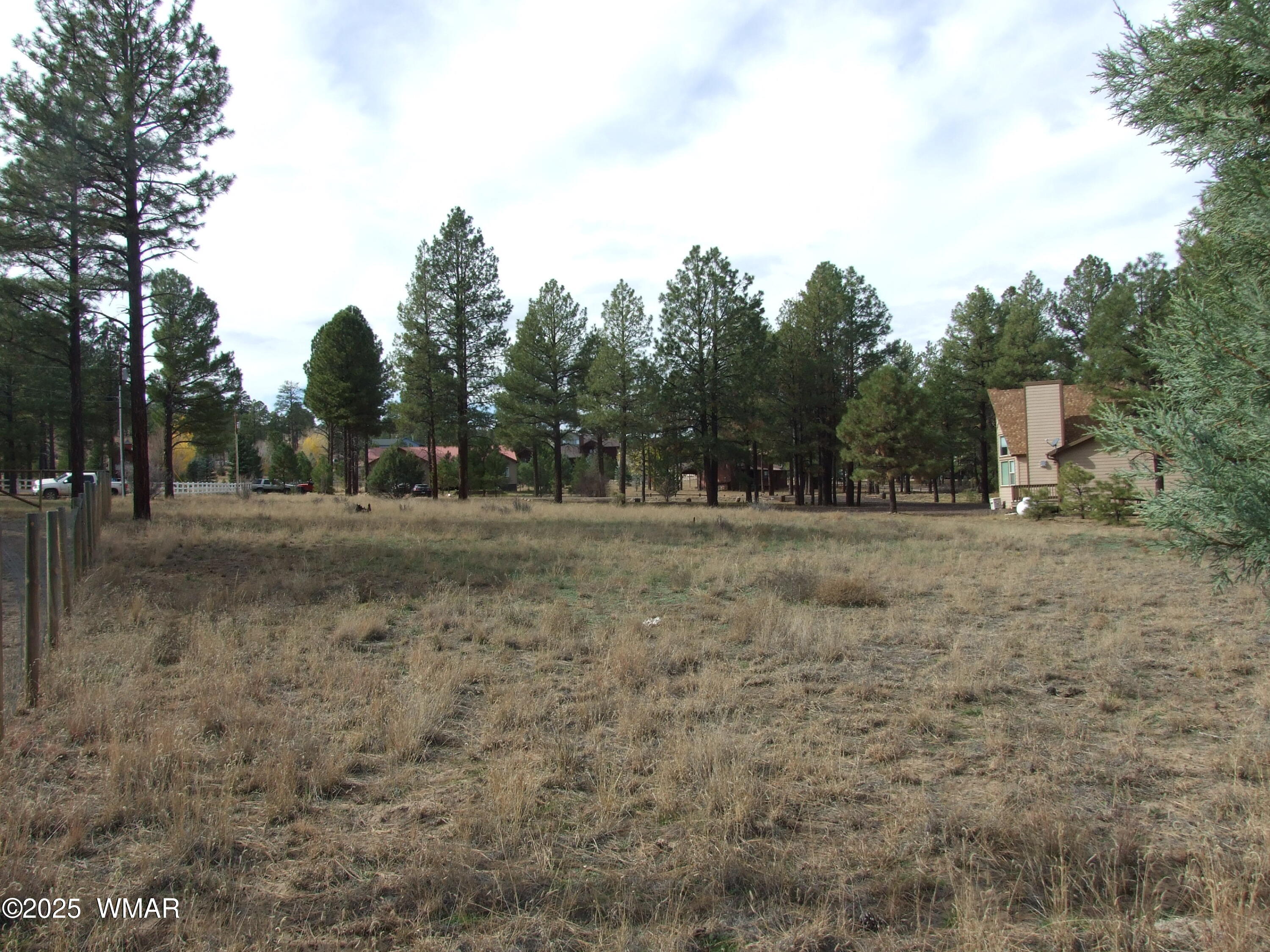 2925 Buckskin Canyon Road Heber, AZ 85928 - Photo 10 of 22 a view of dirt field with trees