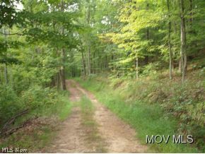 0 Rt 47 Macfarlan, WV 26148 - Photo 8 of 18