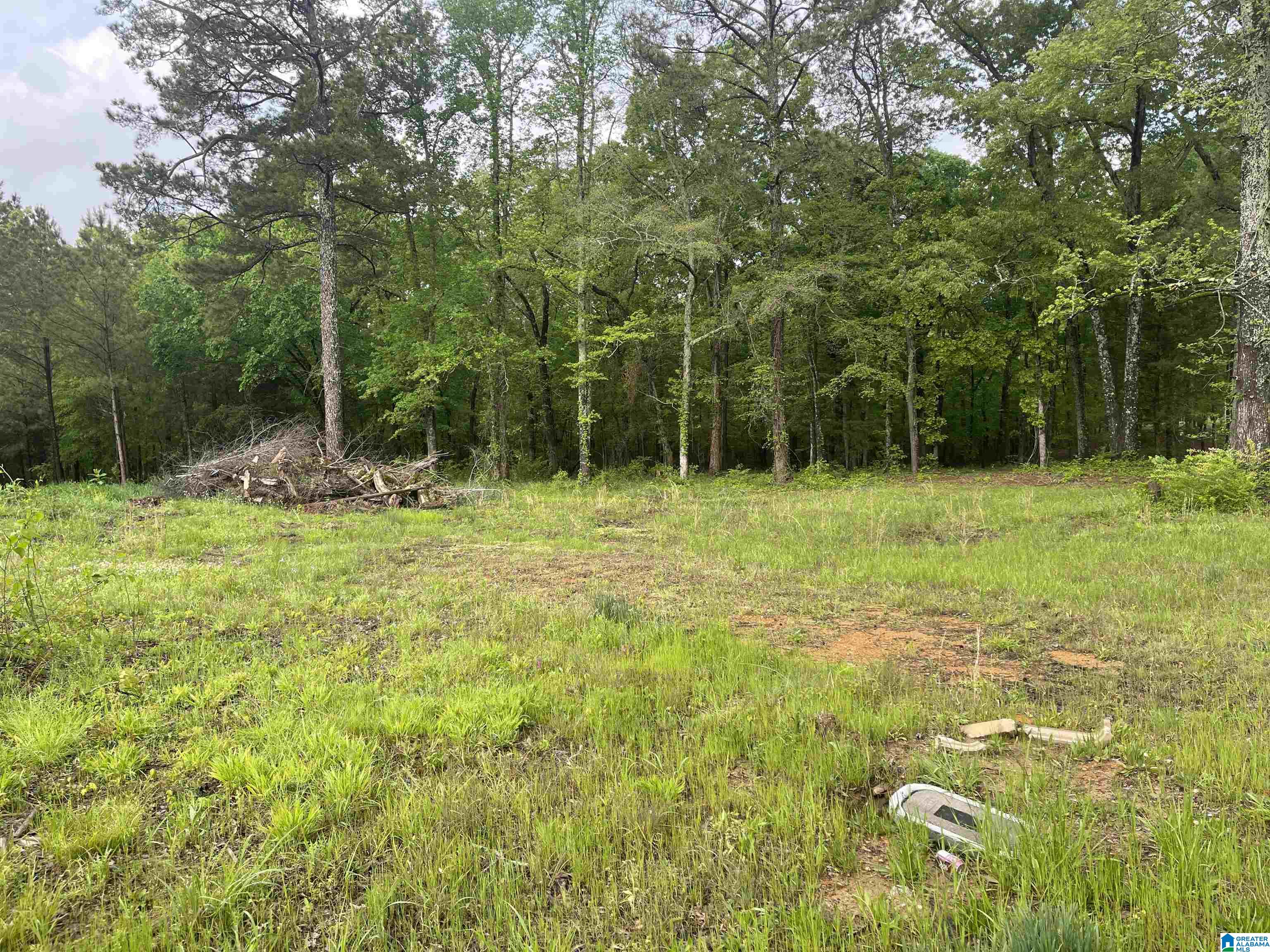 2760 Mitchellville Road, Unit 2 75 Lincoln, AL 35096 - Photo 10 of 11