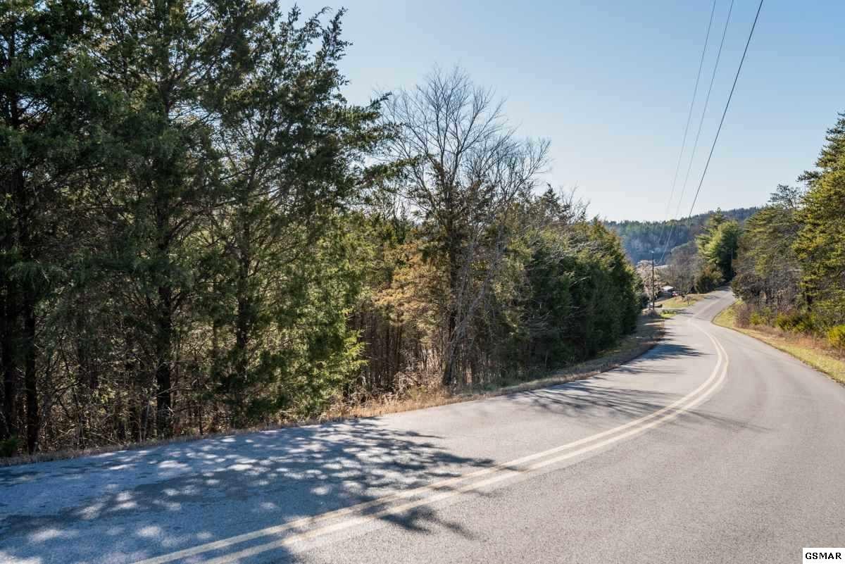 22 Pleasure Road Sevierville, TN 37876 - Photo 3 of 9