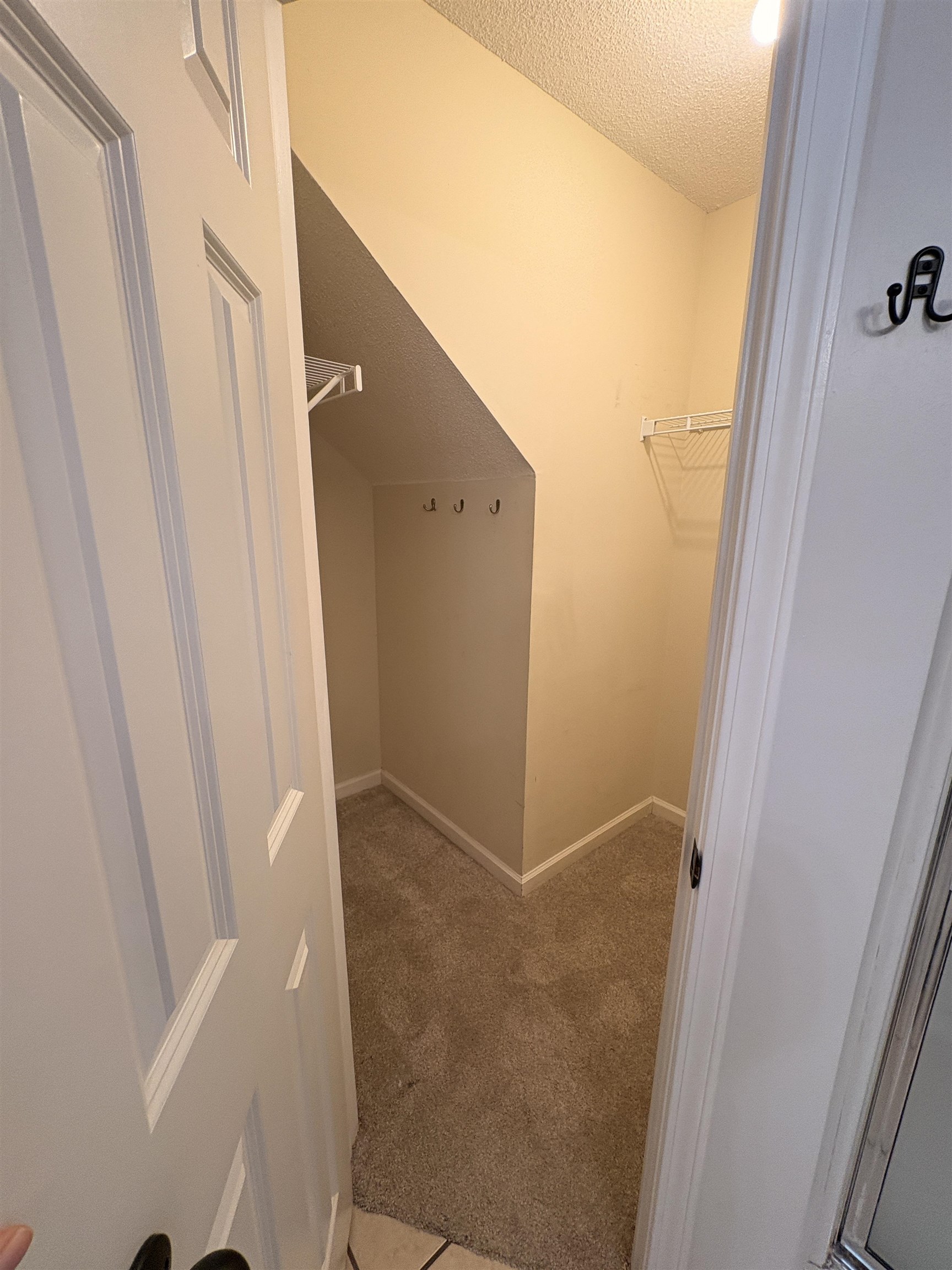 11590 Milton Ridge Cove Arlington, TN 38002 - Photo 21 of 24 Walk in closet featuring light carpet