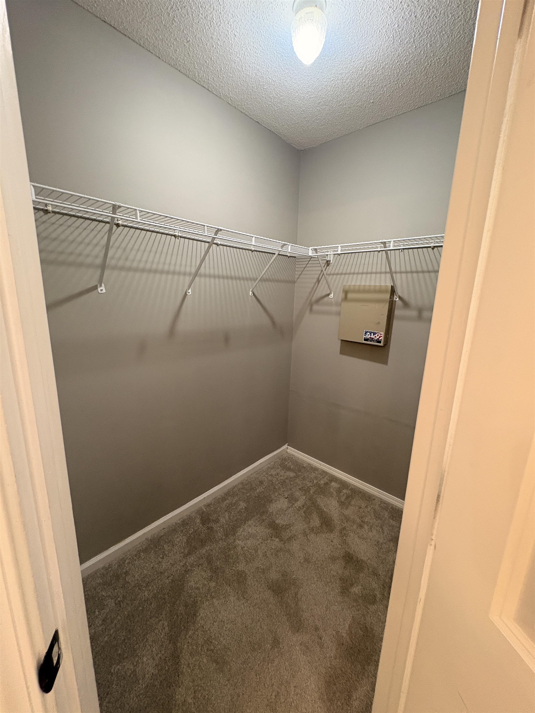 11590 Milton Ridge Cove Arlington, TN 38002 - Photo 22 of 24 Walk in closet featuring dark colored carpet