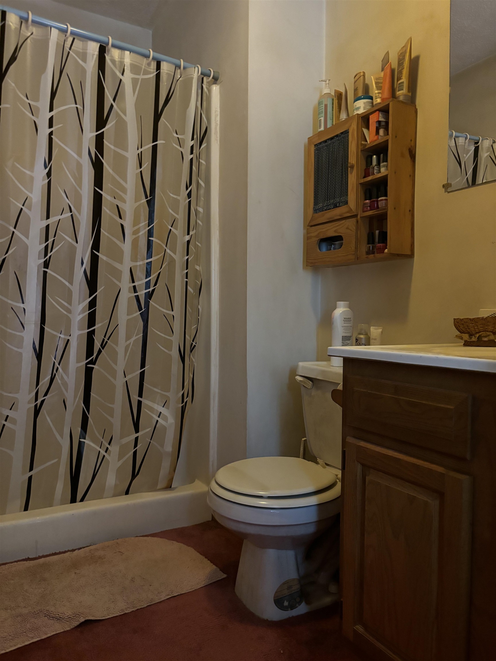 1739 Carter Hill Road Highgate, VT 05488 - Photo 21 of 35