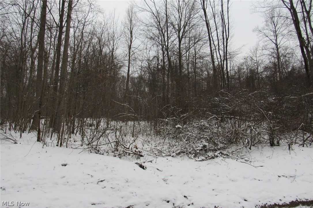 Meade Hollow Road Orwell, OH 44076 - Photo 4 of 6