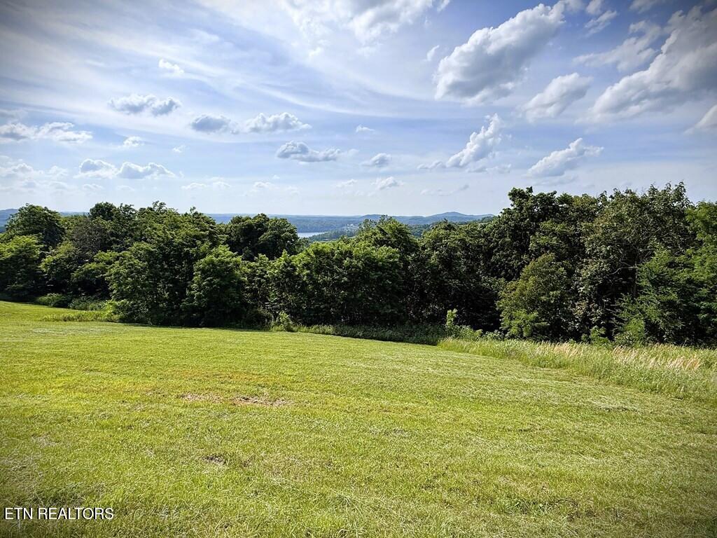 82 Mallard Road Celina, TN 38551 - Photo 4 of 21 244547_3