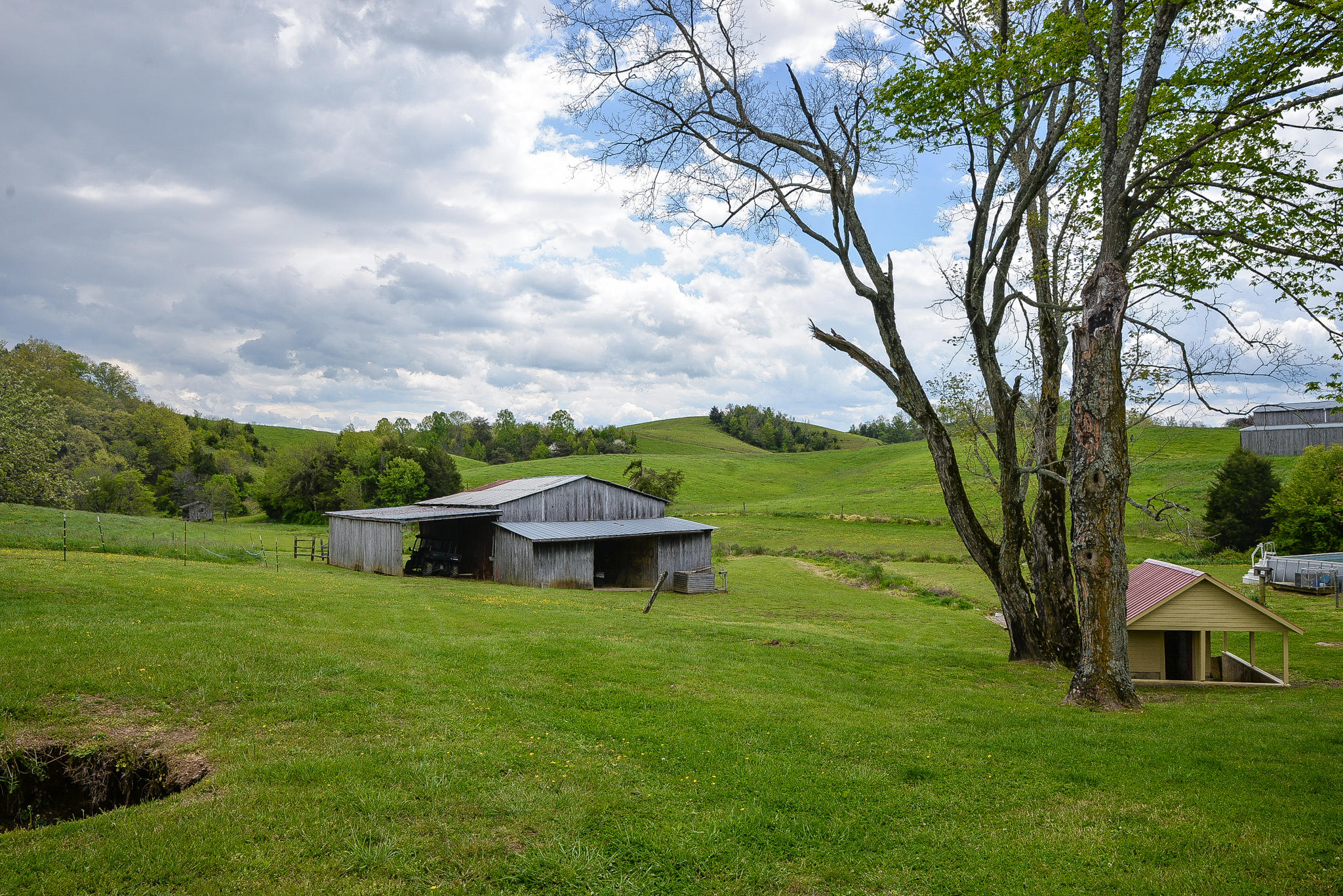 1850 Brown Springs Road Greeneville, TN 37743 - Photo 29 of 37 DSC_8525