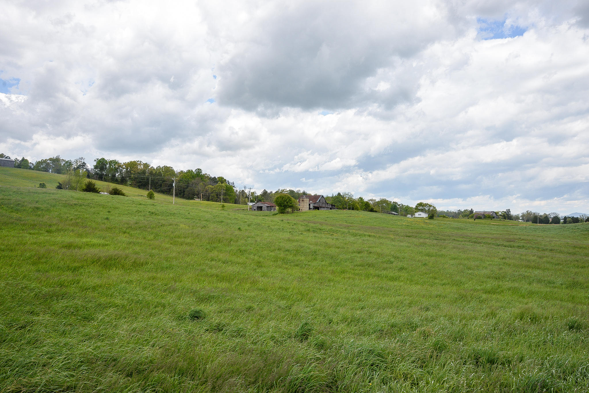 1850 Brown Springs Road Greeneville, TN 37743 - Photo 35 of 37 DSC_8506