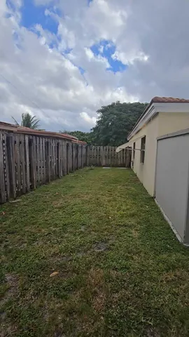 a view of a yard with large tree