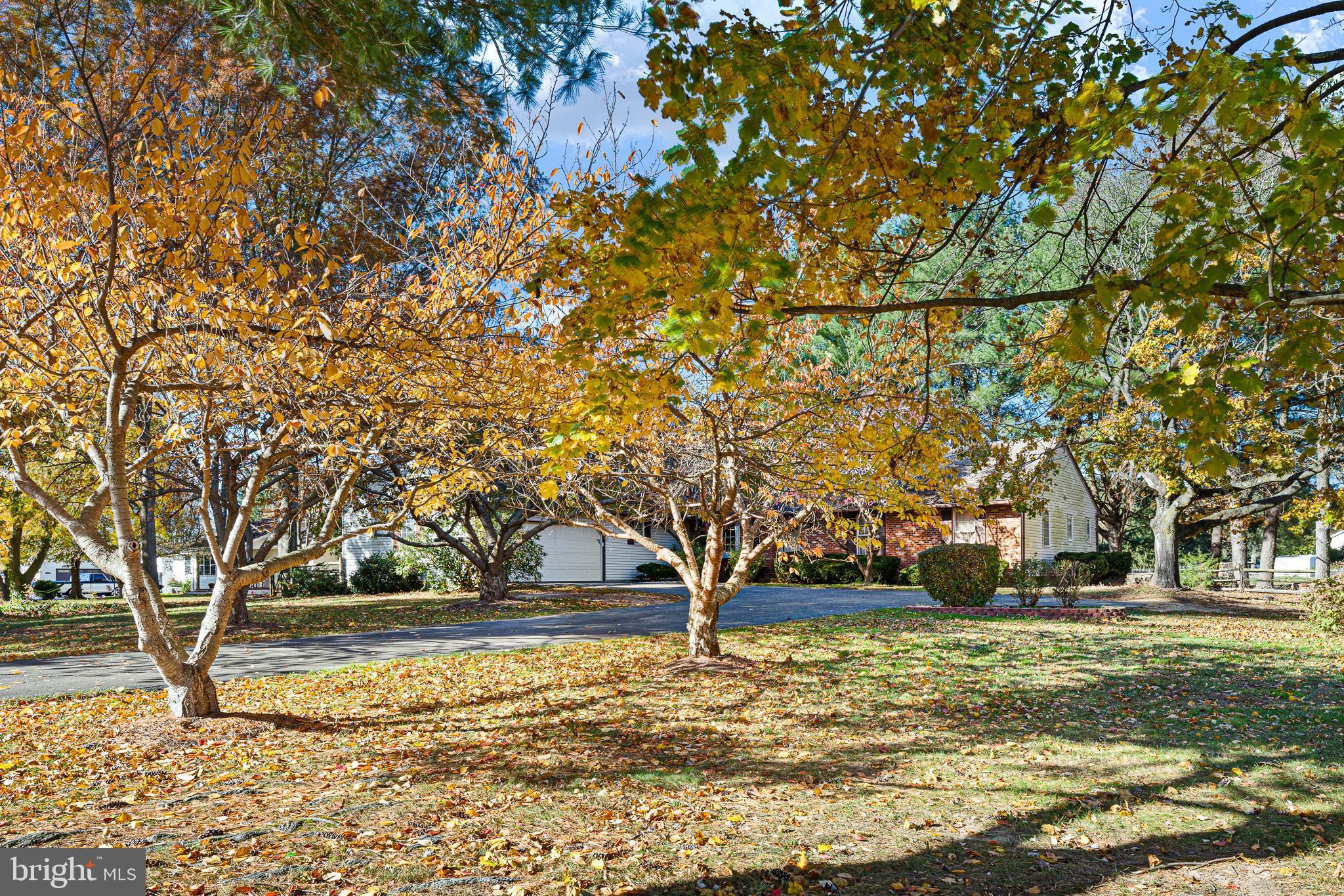2209 Wheatleys Pond Road Smyrna, DE 19977 - Photo 36 of 39 a view of yard with tree