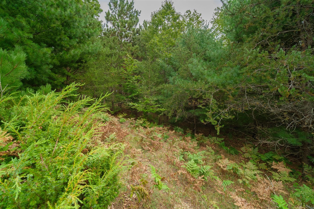 0 Erdman Road Onekama, MI 49675 - Photo 29 of 69 Gallery Image 29