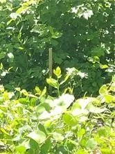 $39,000 | 0 Narragansett Avenue, Cumberland, RI 02864