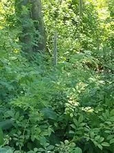 $39,000 | 0 Narragansett Avenue, Cumberland, RI 02864