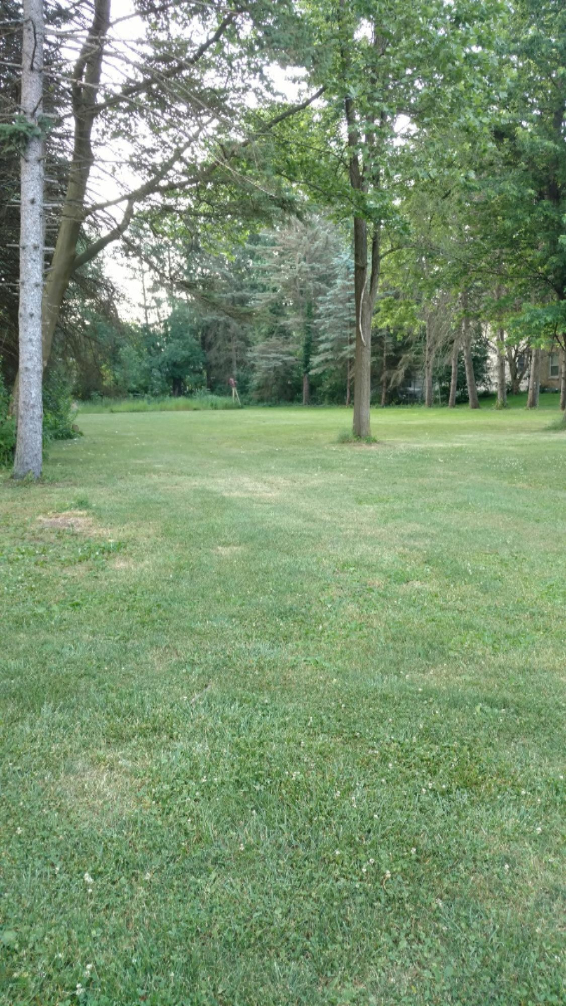 5805 Angling Road Portage, MI 49024 - Photo 1 of 1 IMG_20170614_070907170
