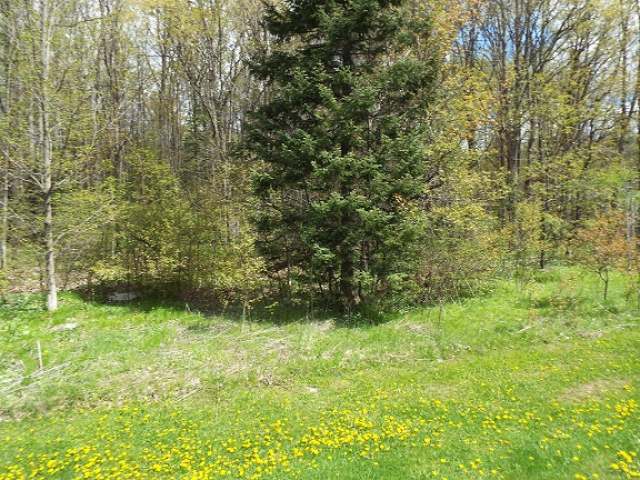 Lot #12 Claire Road Deerbrook, WI 54424 - Photo 2 of 4 Gallery Image 2