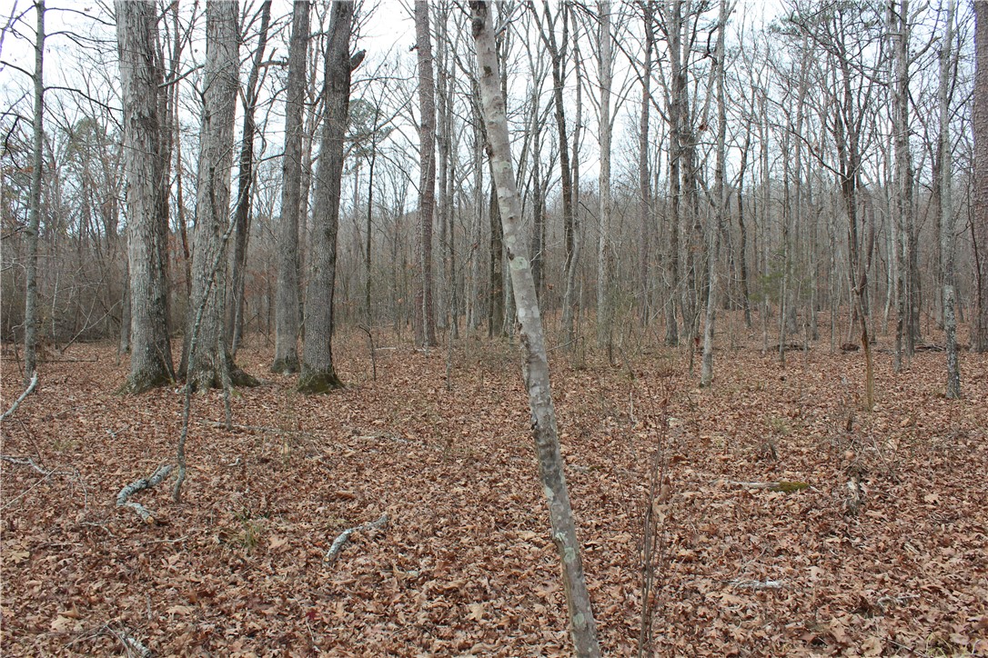 0 Old Brewer Road South Edgemont, AR 72044 - Photo 42 of 60 View of nature