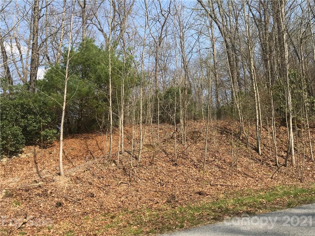 563 Becky Mountain Road Brevard, NC 28712 - Photo 14 of 14 Gallery Image 14