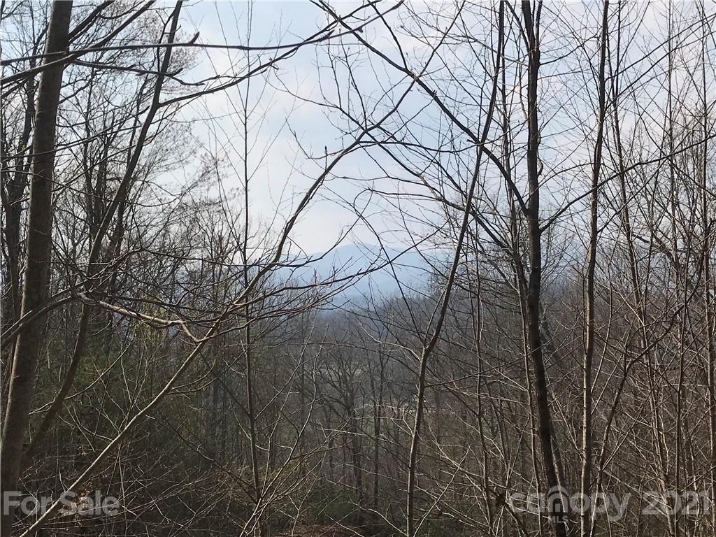 563 Becky Mountain Road Brevard, NC 28712 - Photo 3 of 14 Gallery Image 3