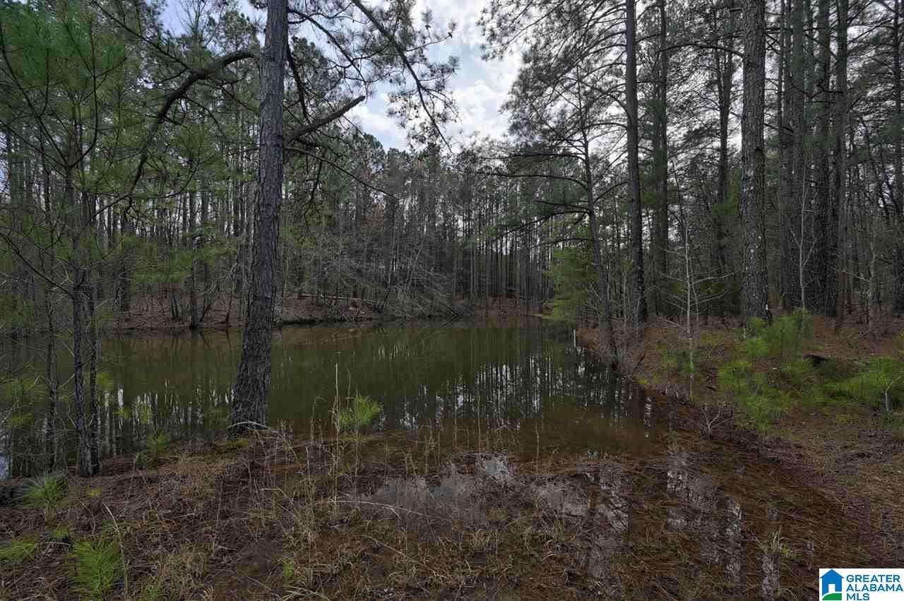 0 Mount Road Blountsville, AL 35031 - Photo 3 of 17