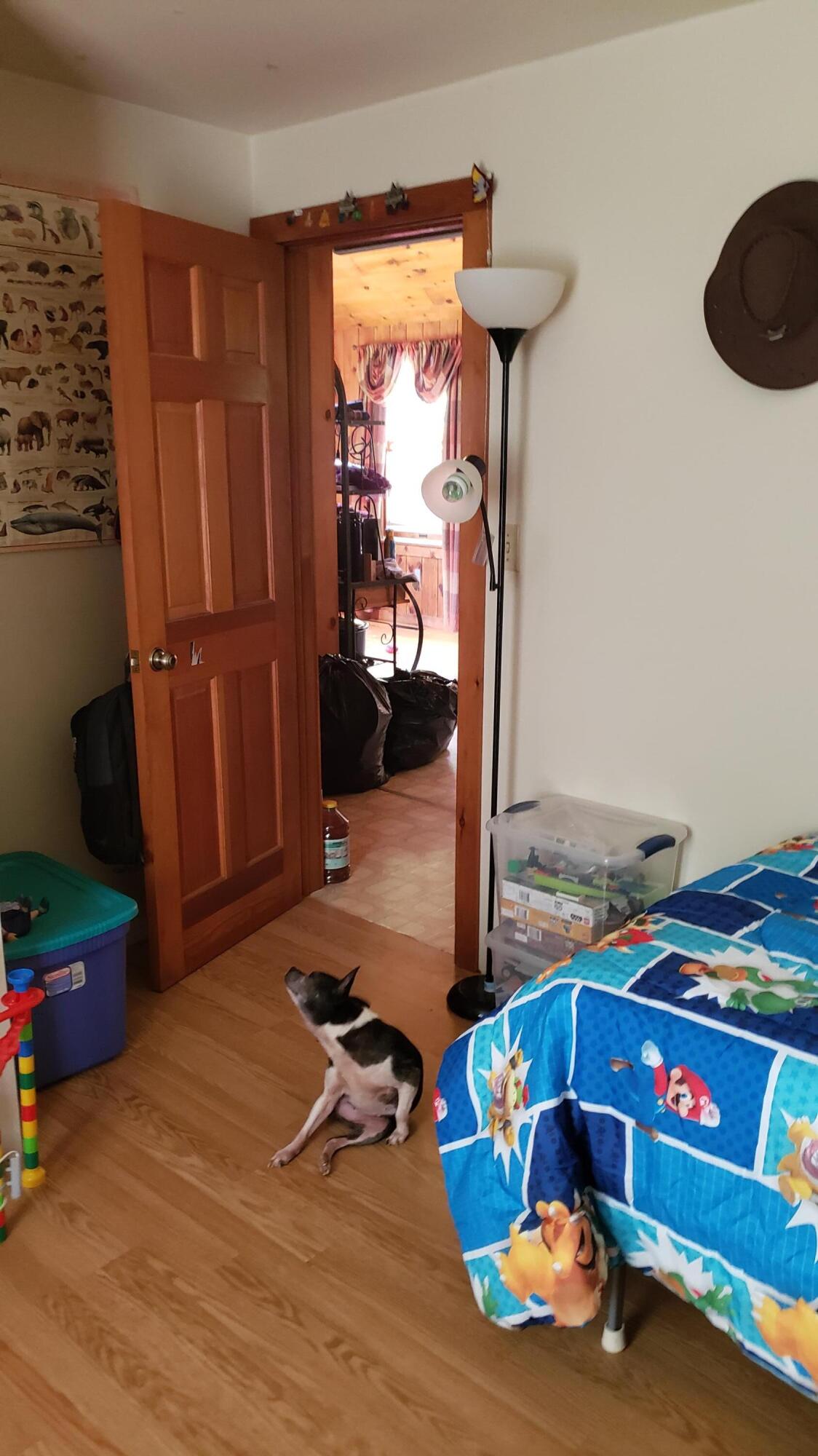 192 Lowell Town Road Wiscasset, ME 04578 - Photo 32 of 48 20220615_110556