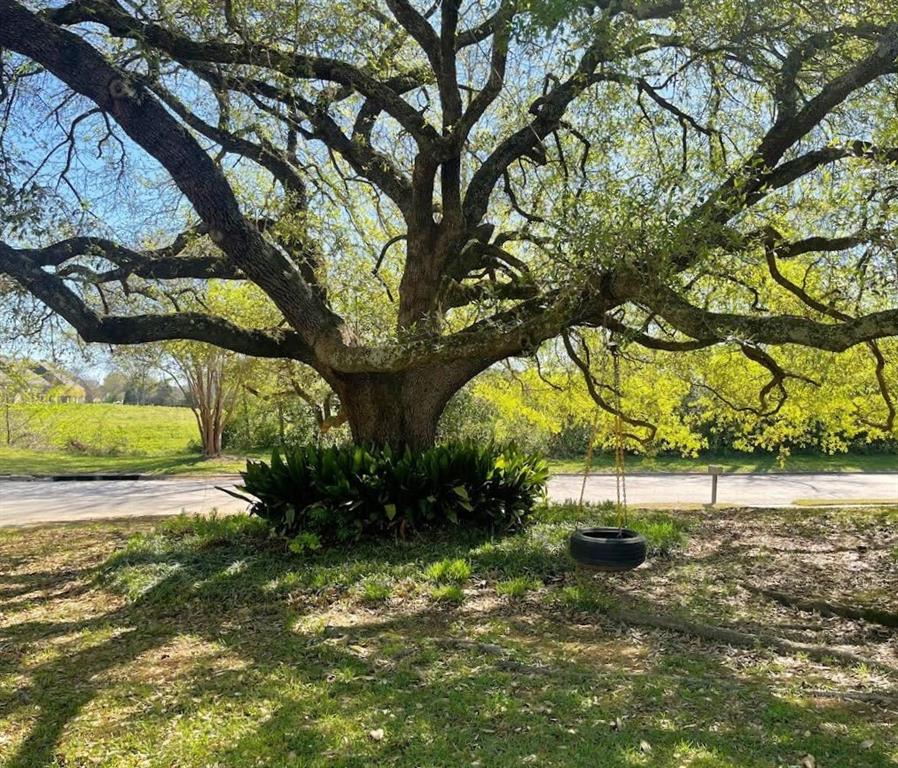 8418 Creswell Road Shreveport, LA 71106 - Photo 31 of 31 Front Yard Swing on the Old Oak Tree