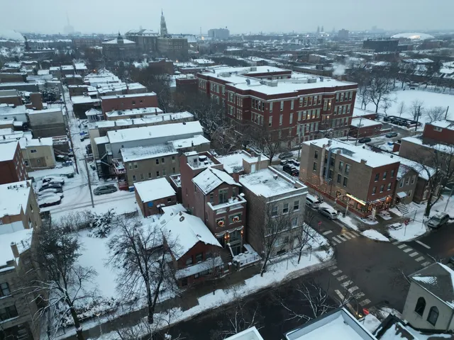 $2,000,000 | 1041 West Polk Street, Chicago, IL 60607