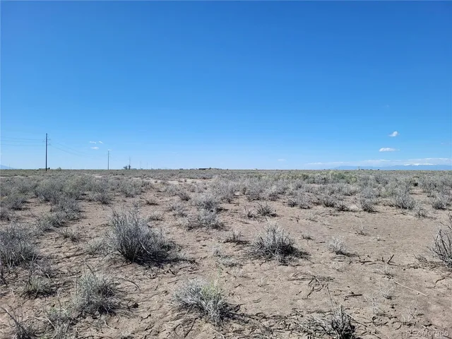 a view of a dry yard with trees