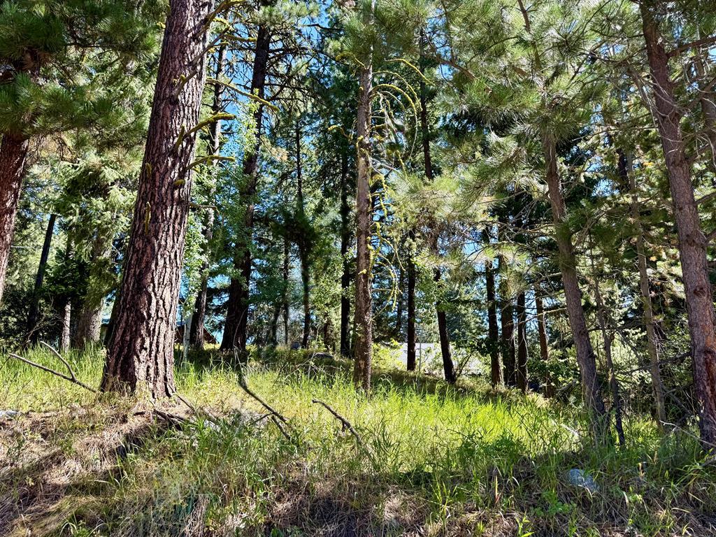 699 North Samson Trail, Unit 5 McCall, ID 83638 - Photo 2 of 2