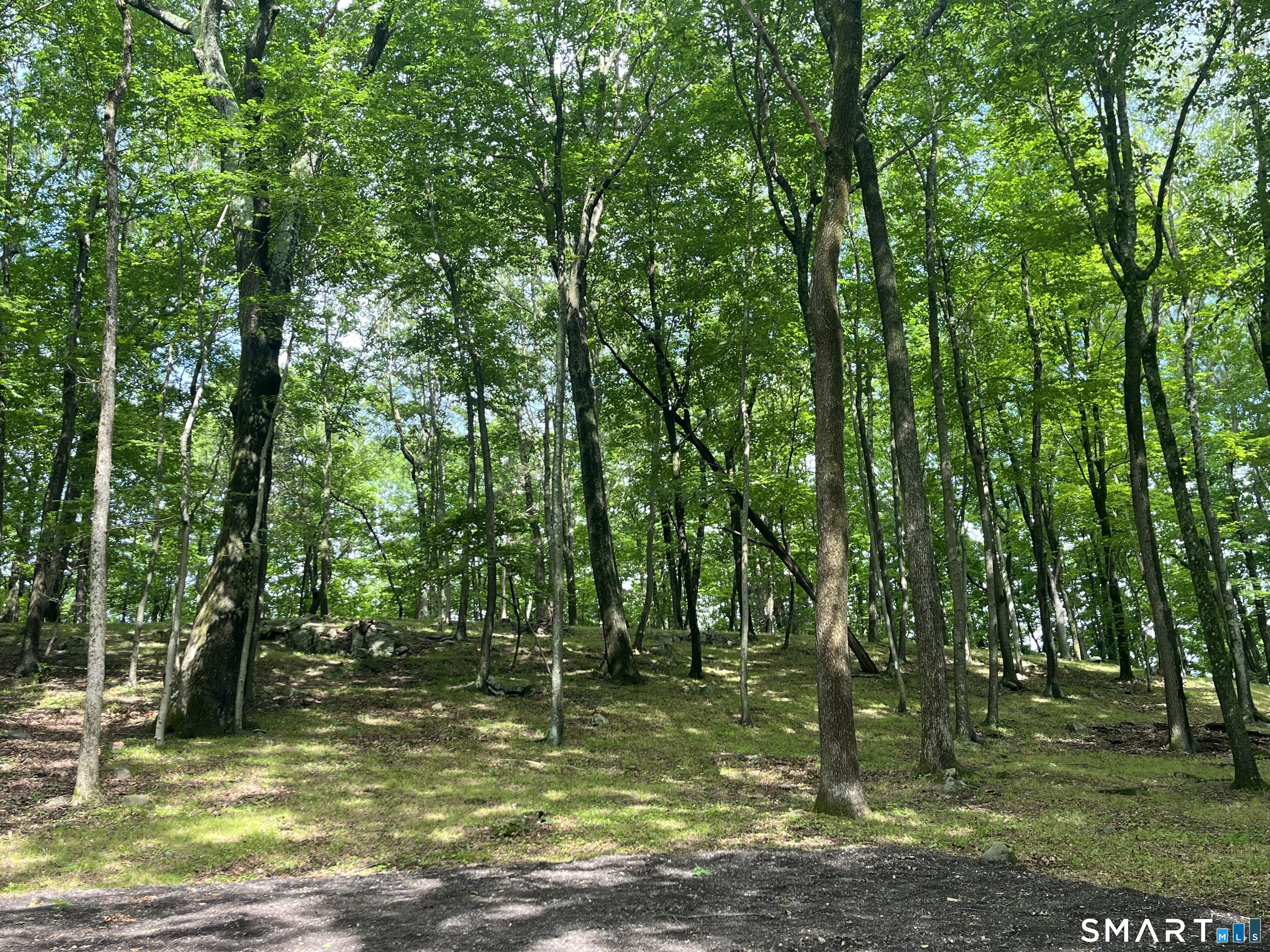 81 Mountain Road Prospect, CT 06712 - Photo 14 of 23