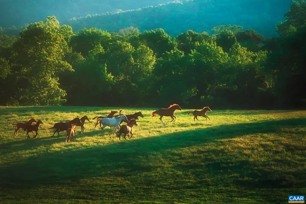 $349,000 | 106 Brandywine Court, Unit 106, Charlottesville, VA 22901