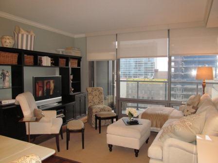 100 East 14th Street, Unit 1008 Chicago, IL 60605 - Photo 2 of 18