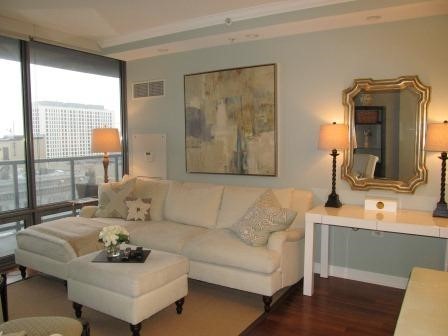 100 East 14th Street, Unit 1008 Chicago, IL 60605 - Photo 3 of 18