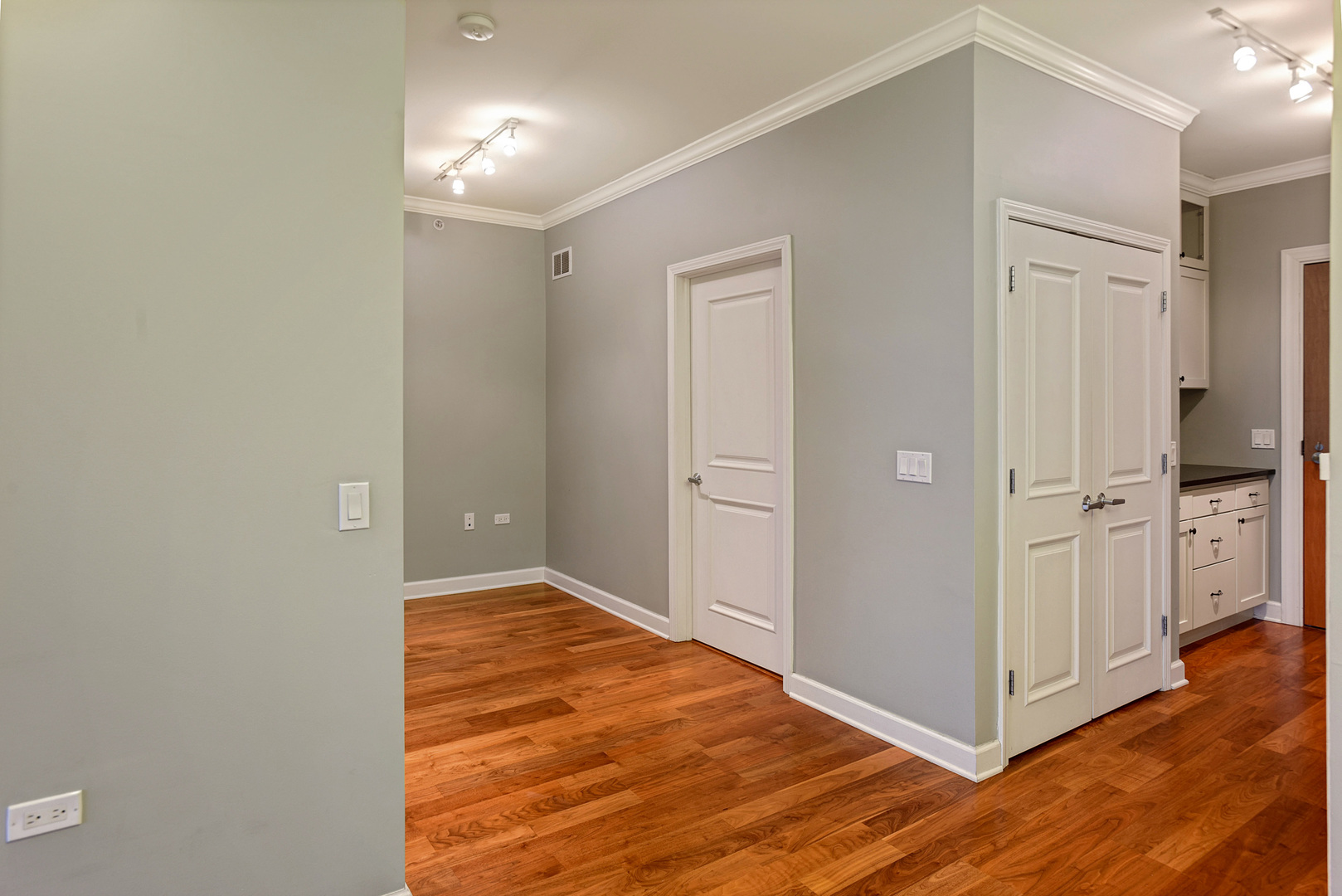 100 East 14th Street, Unit 1008 Chicago, IL 60605 - Photo 9 of 18