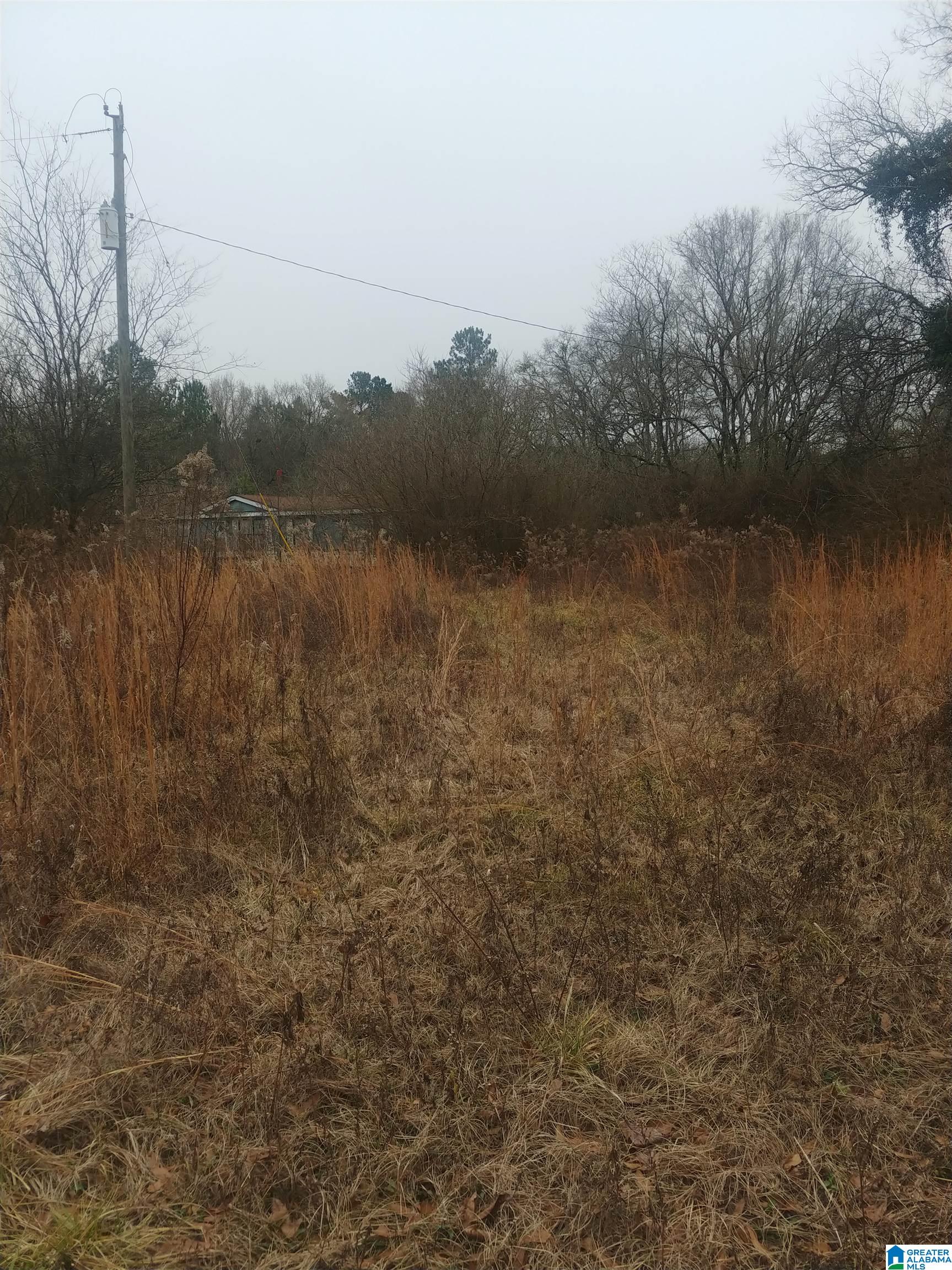 2231 Camp Brownie Road, Unit 1 Sylacauga, AL 35151 - Photo 1 of 6
