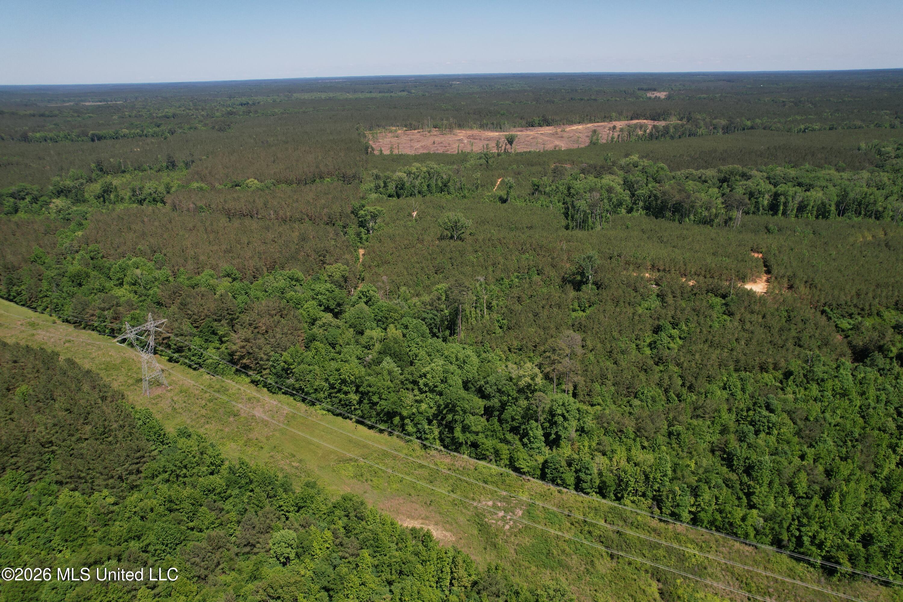 Couparle Road Camden, MS 39045 - Photo 7 of 47 DJI_0123