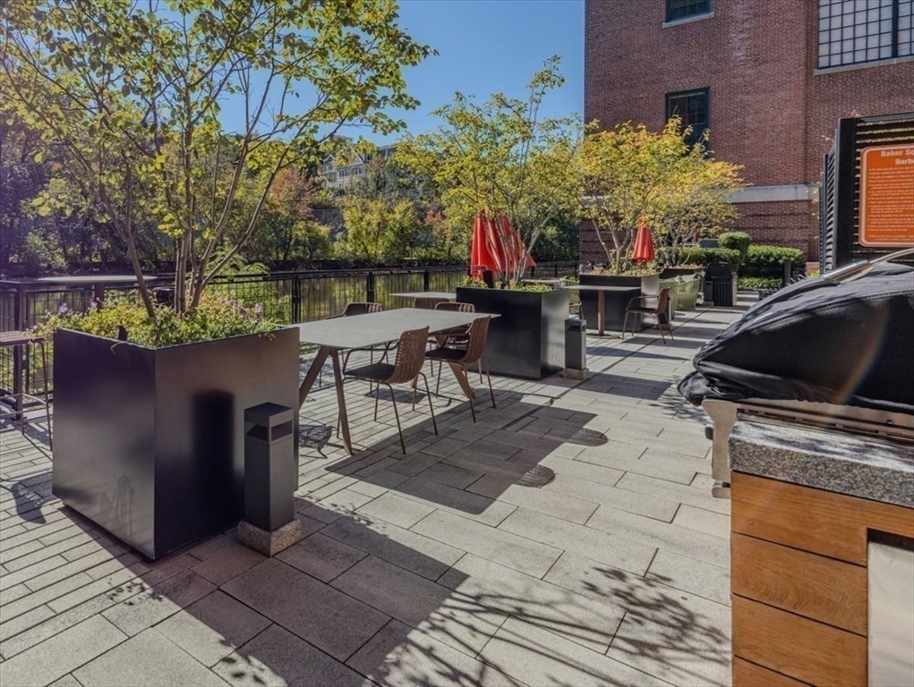 1245 Adams Street, Unit B210 Boston, MA 02124 - Photo 31 of 39 a view of a patio with table and chairs potted plants and palm tree