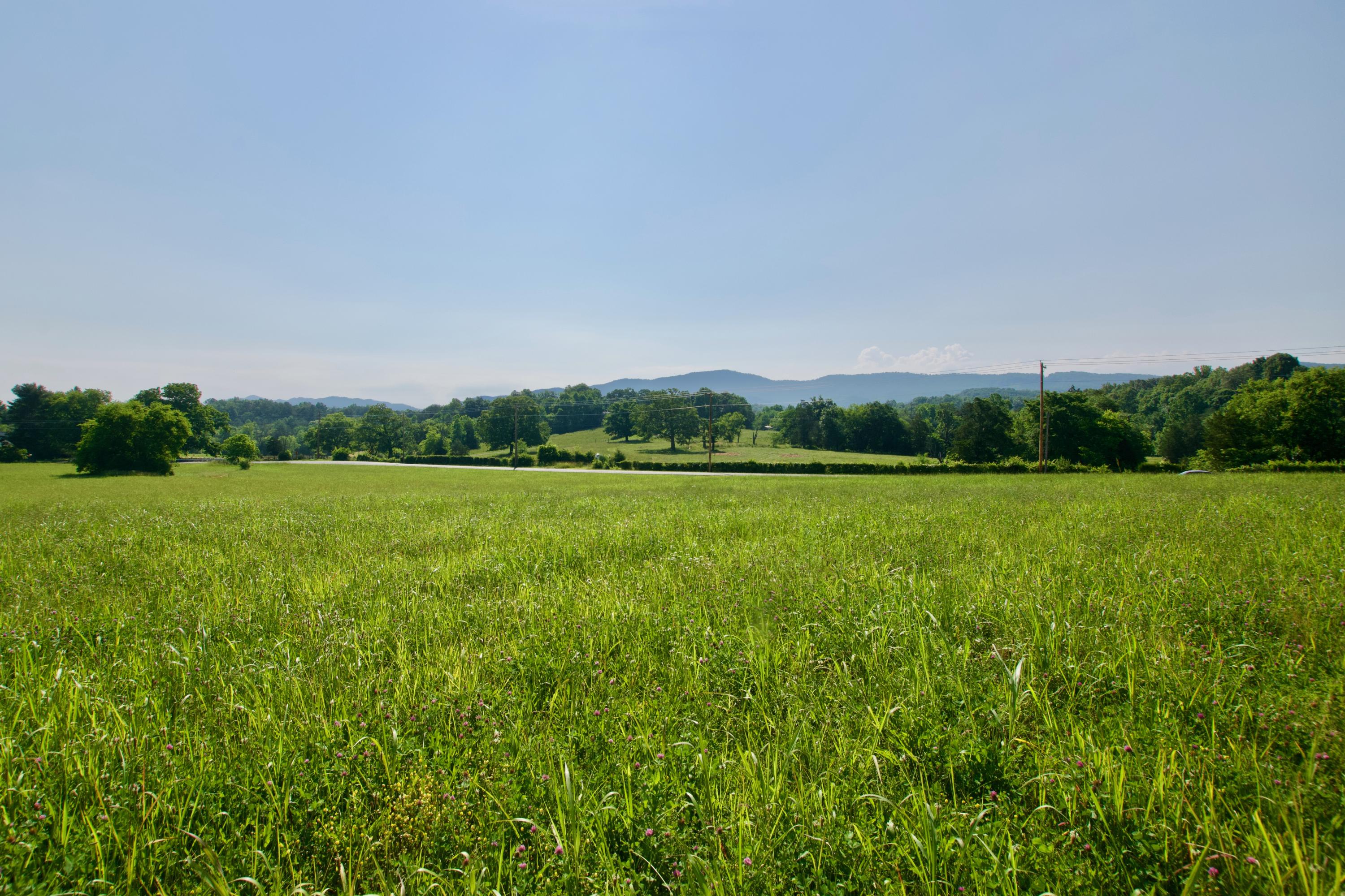 Lot 6 Chilhowee View Road Maryville, TN 37803 - Photo 2 of 5 DSC_0623