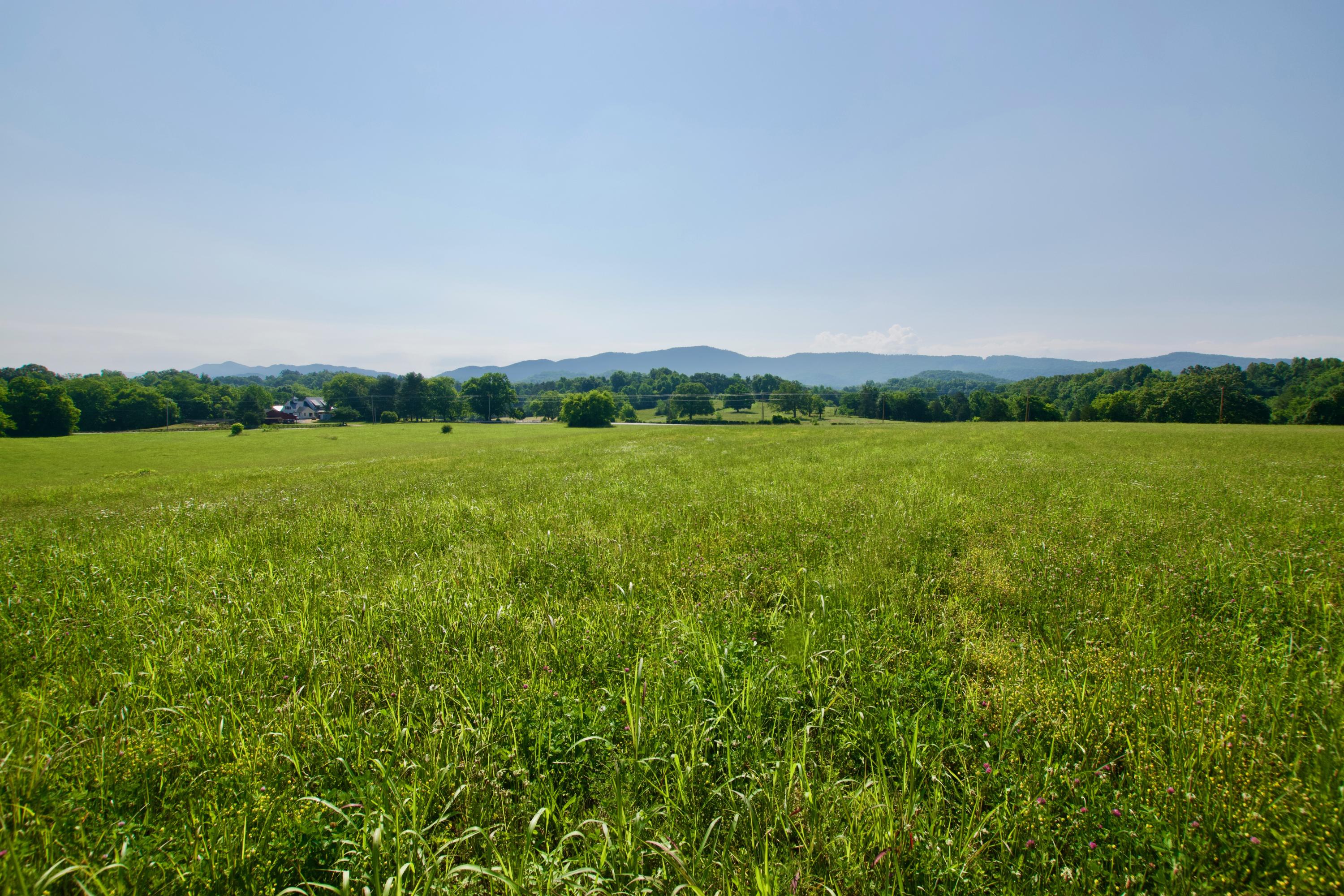 Lot 6 Chilhowee View Road Maryville, TN 37803 - Photo 3 of 5 DSC_0625