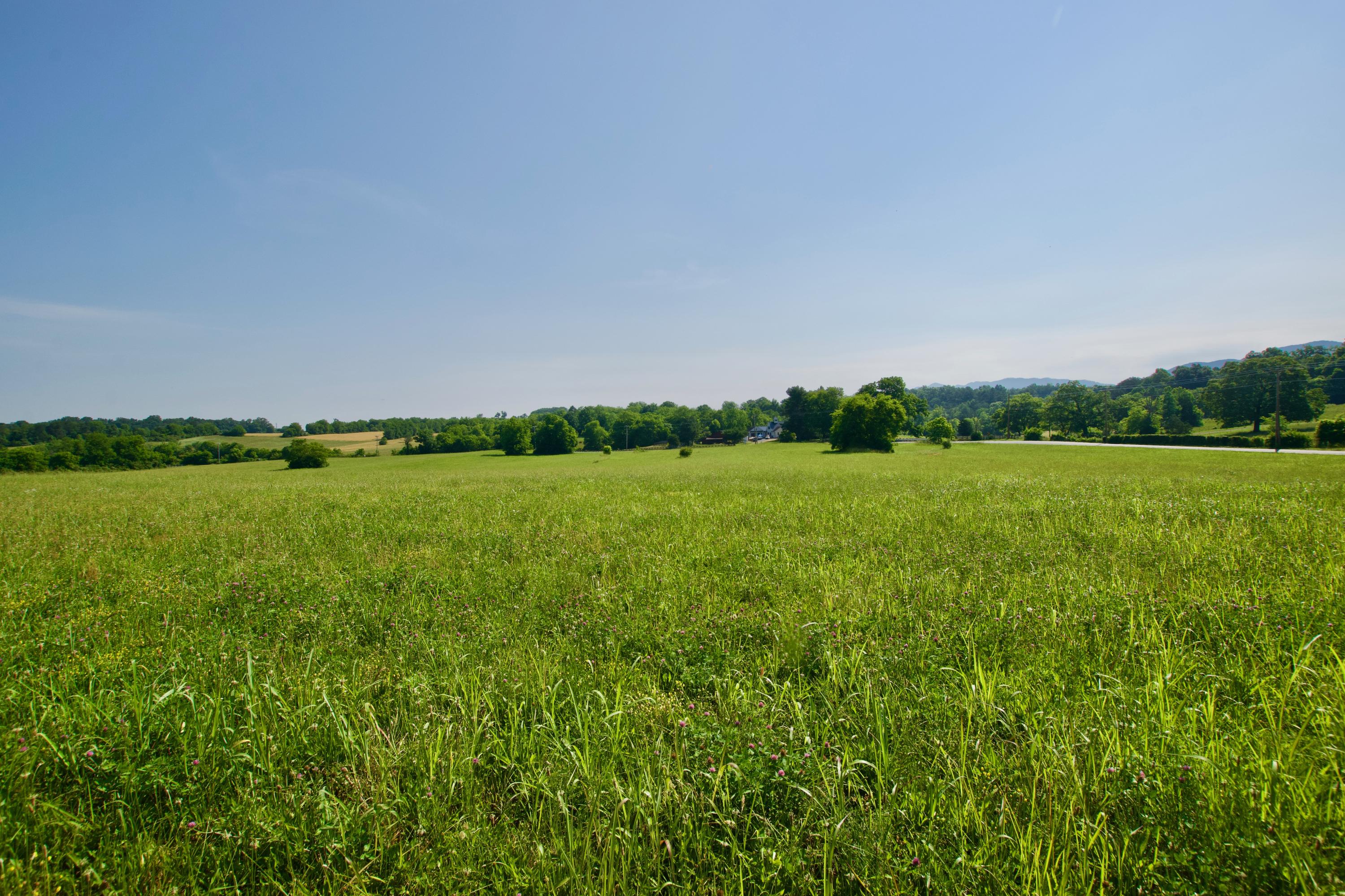 Lot 6 Chilhowee View Road Maryville, TN 37803 - Photo 4 of 5 DSC_0624