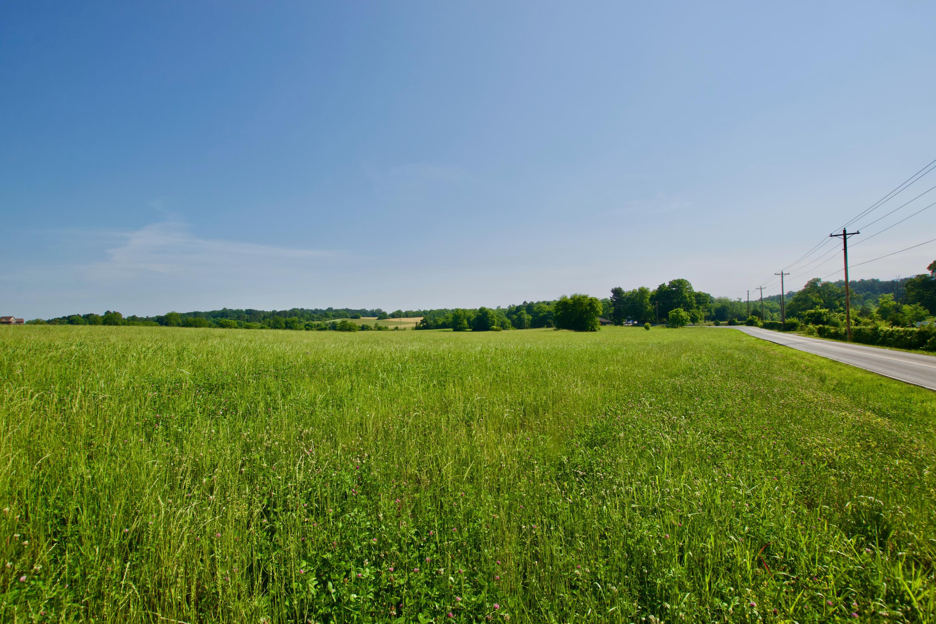 Lot 6 Chilhowee View Road Maryville, TN 37803 - Photo 5 of 5 DSC_0621