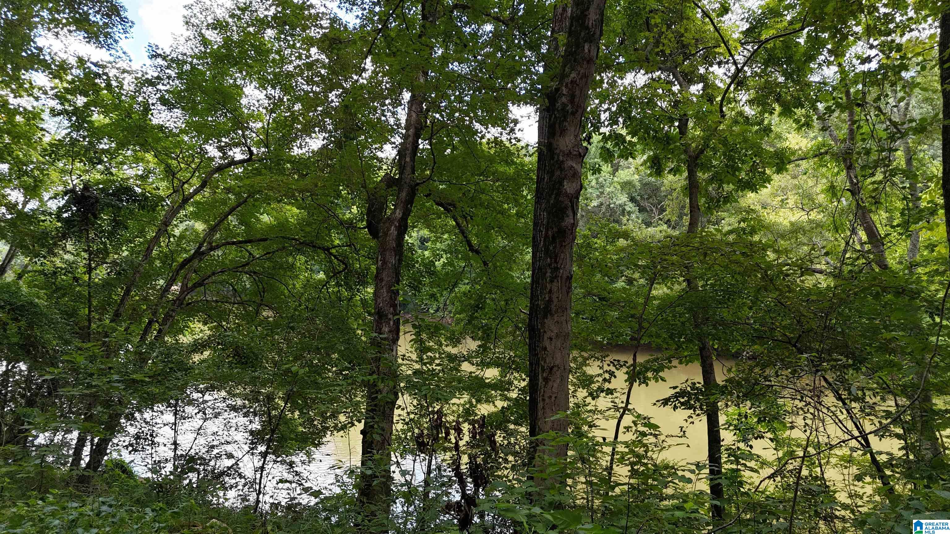 2170 Birmingham Road Centreville, AL 35042 - Photo 23 of 32