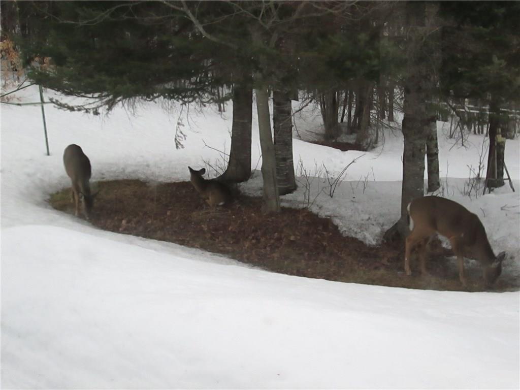 22 Moulton Road Embden, ME 04958 - Photo 20 of 23 Photo