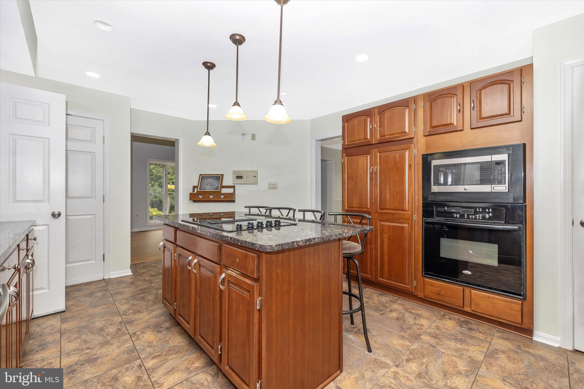 3245 Bullfrog Road Taneytown, MD 21787 - Photo 17 of 66 Kitchen with wall oven
