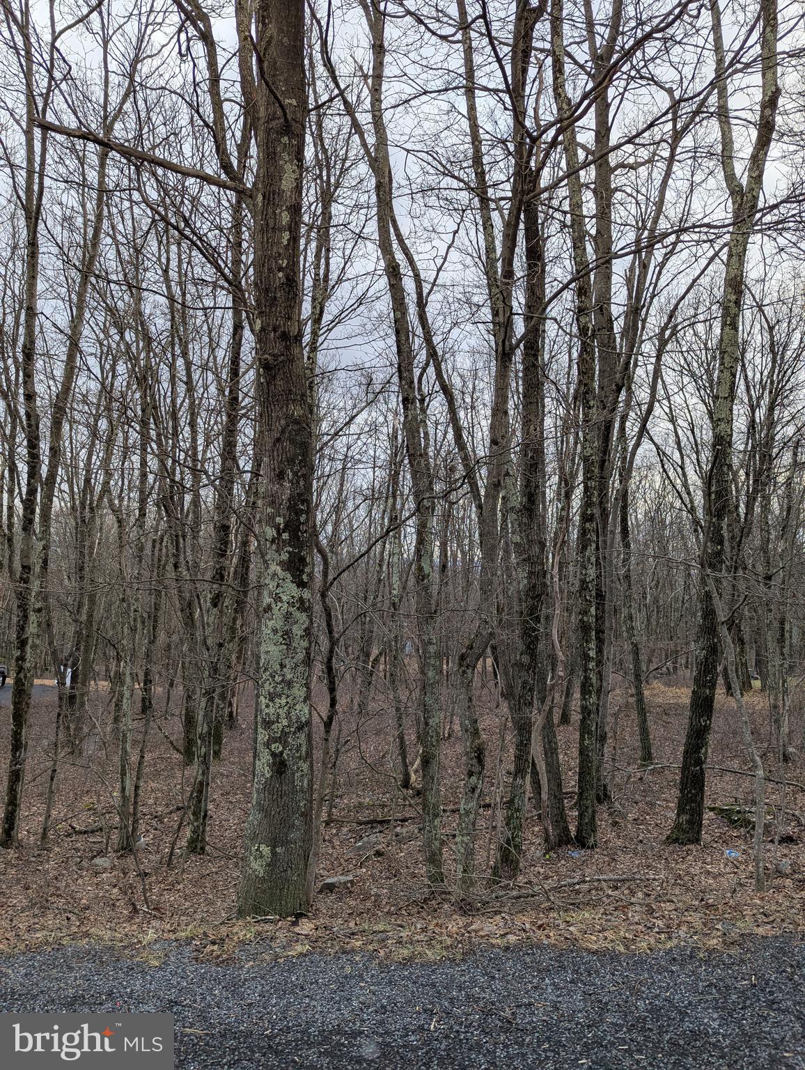 0 Seneca Road Albrightsville, PA 18210 - Photo 1 of 3