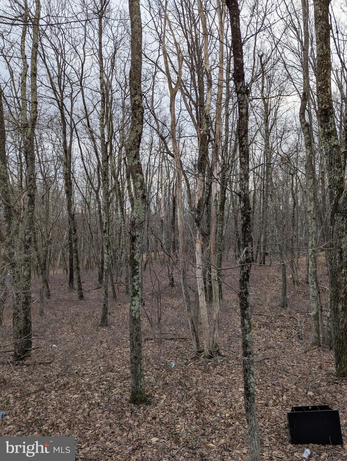 0 Seneca Road Albrightsville, PA 18210 - Photo 3 of 3