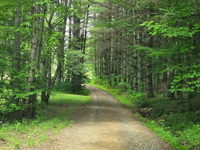 $715,000 | 6733 Floyd Highway South, Willis, VA 24380