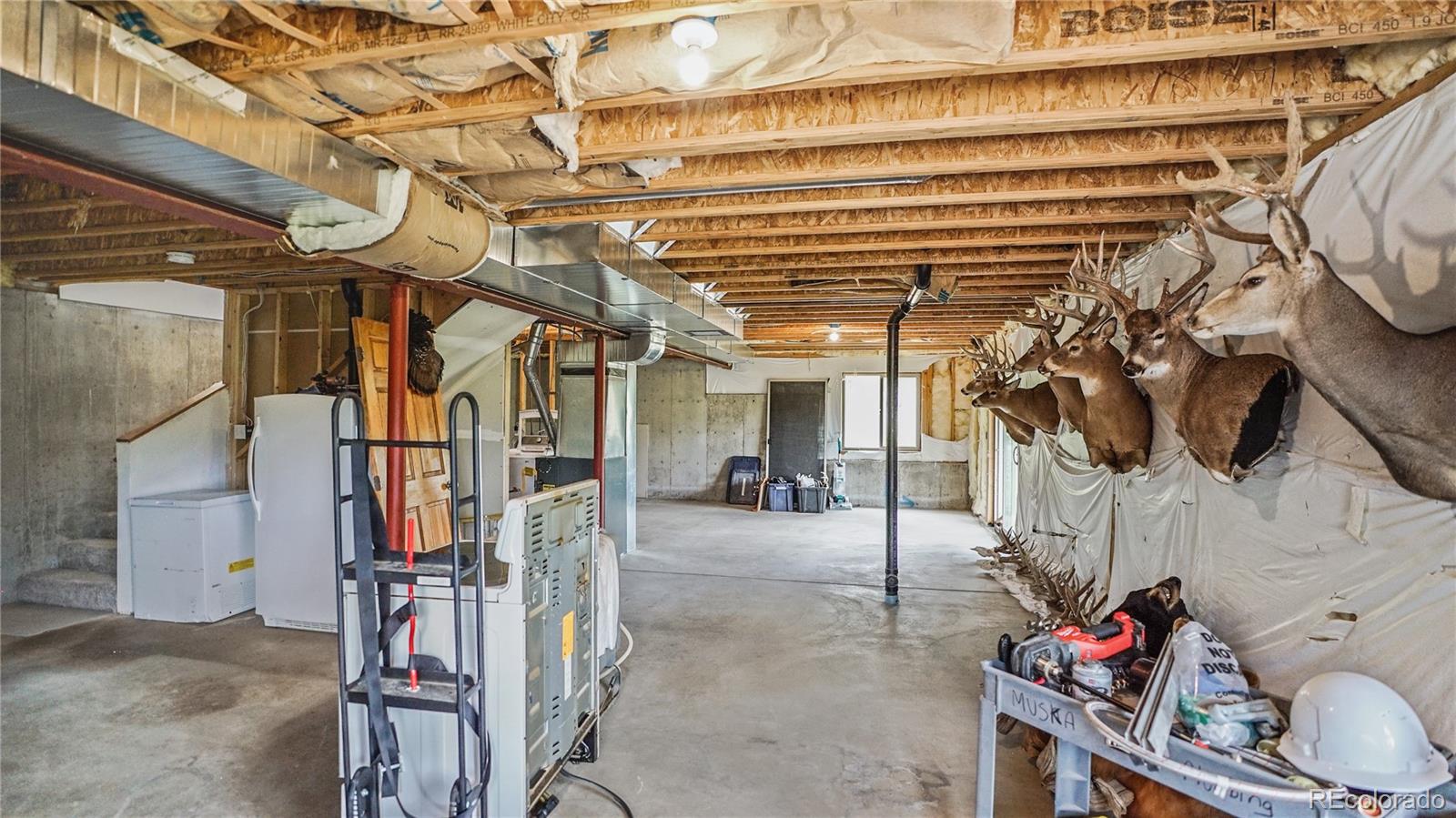 368 Lakeview Road Bailey, CO 80421 - Photo 18 of 22 Gallery Image 18