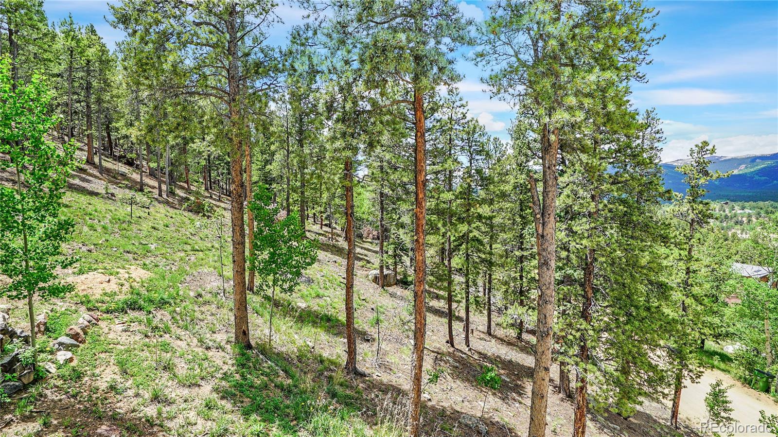 368 Lakeview Road Bailey, CO 80421 - Photo 7 of 22 Gallery Image 7