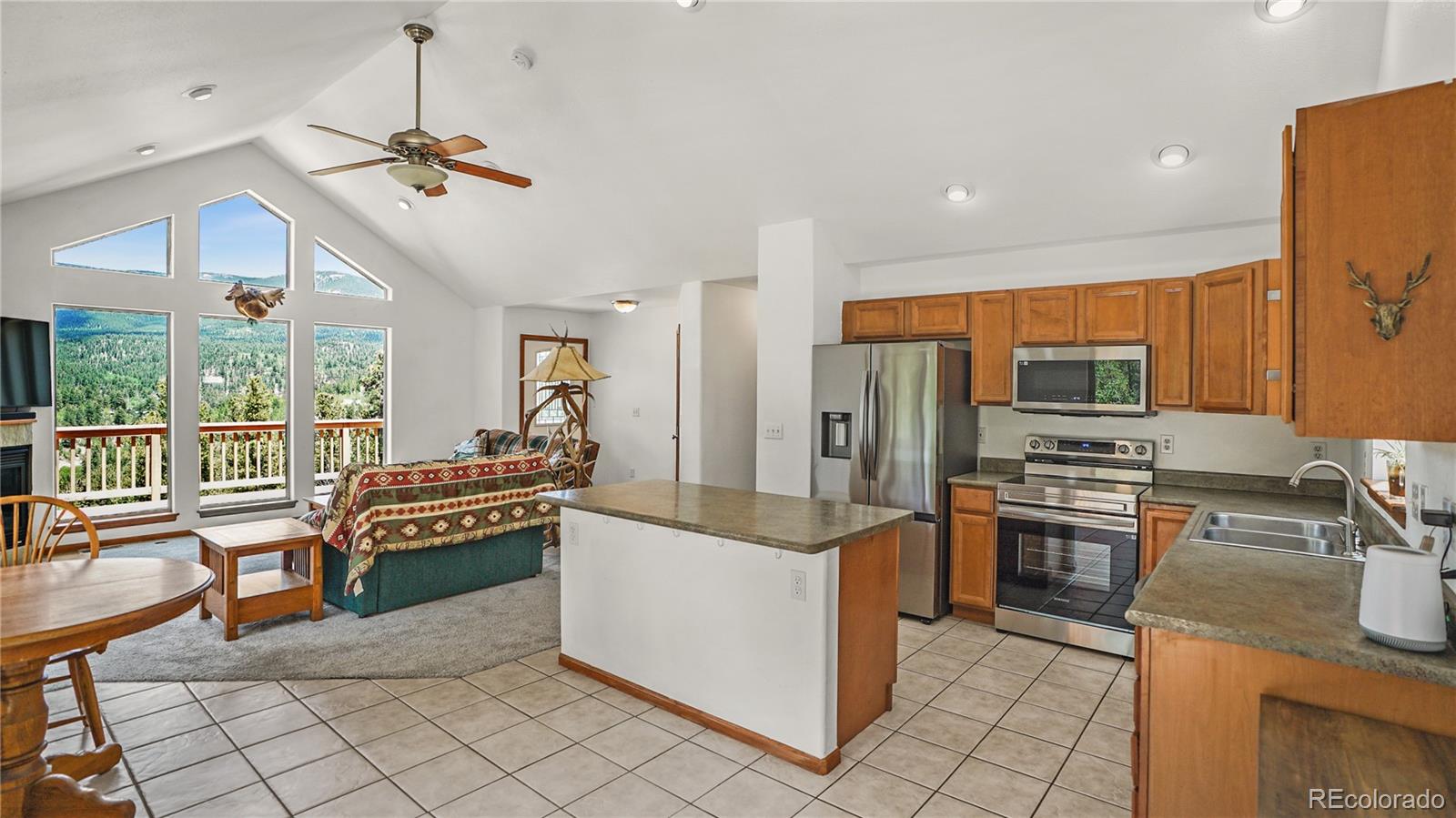 368 Lakeview Road Bailey, CO 80421 - Photo 9 of 22 Gallery Image 9