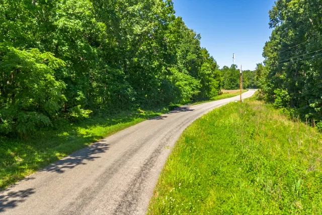 a view of a pathway both side of grassy field with shrub