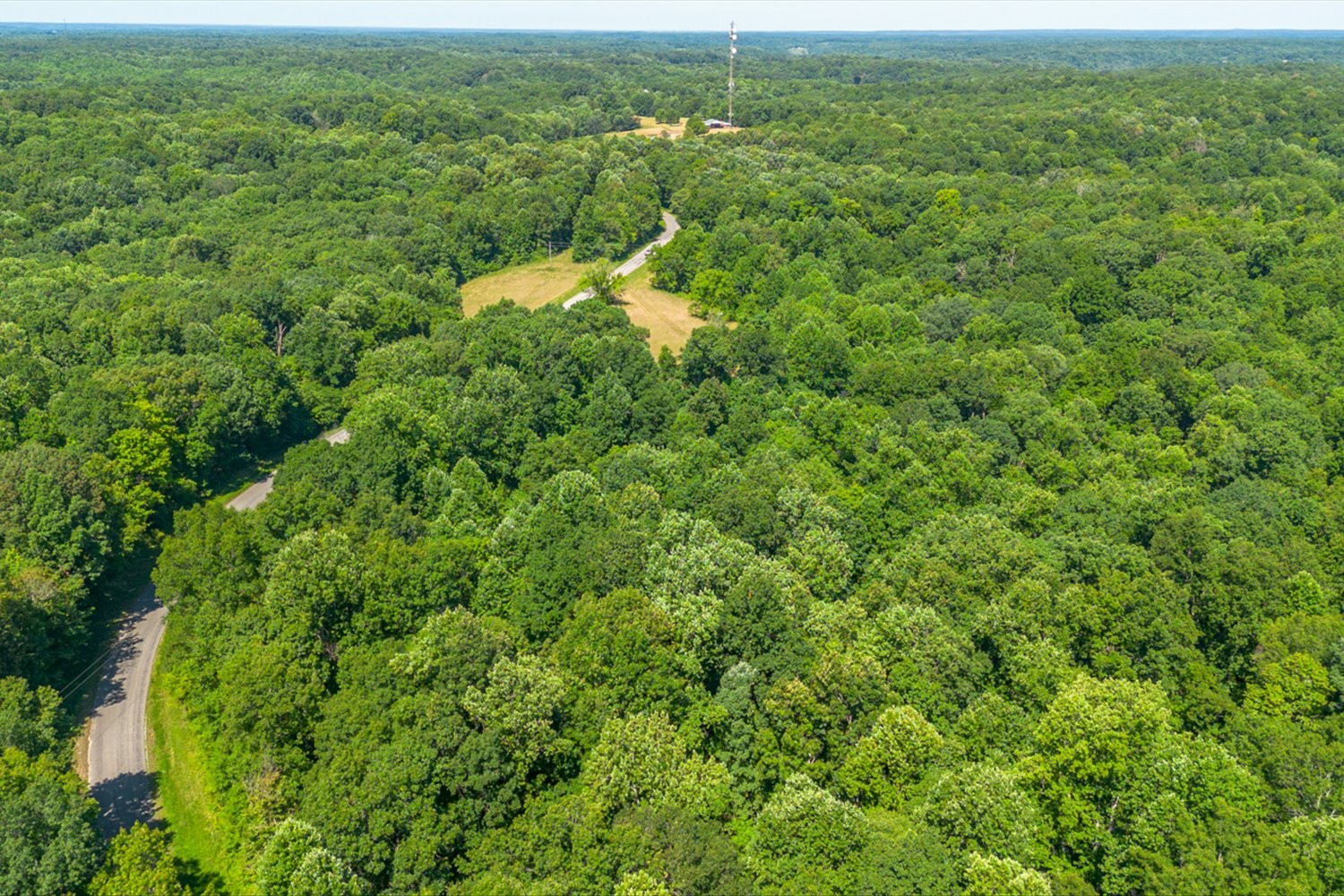 0 Chestnut Ridge Road Columbia, TN 38401 - Photo 11 of 35